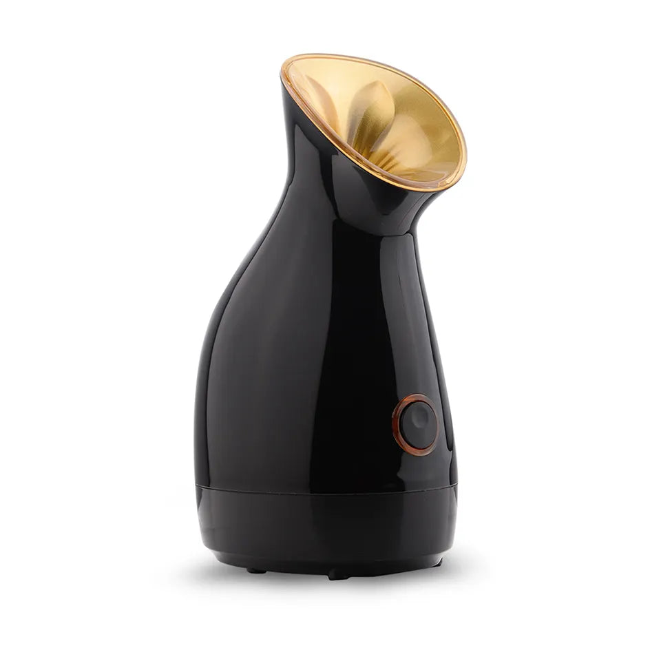 جهاز بخار الوجه