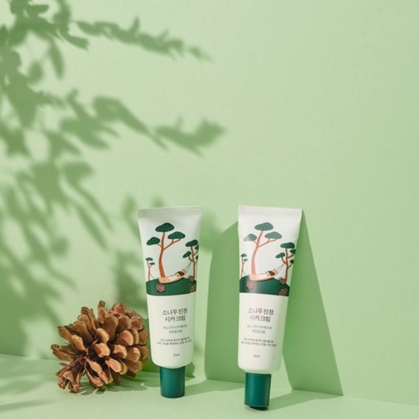 كريم مرطب للوجه بخلاصة الصنوبر من راوند لاب، 50 مل